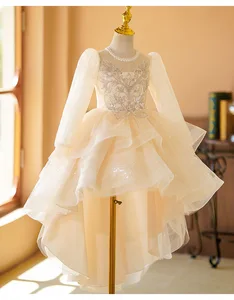 Children's Formal Satin Ball Gown Pageant Dress Toddlers Birthday Party Gowns Baby Dress  Long Sleeve Lace Bow Appliques Girls