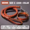 Brown 1