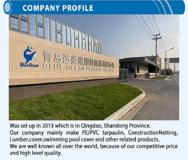 Company overview