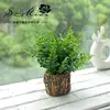 Maceta de madera Jh2155 para plantas verdes.