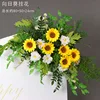 Puntos de flor de girasol