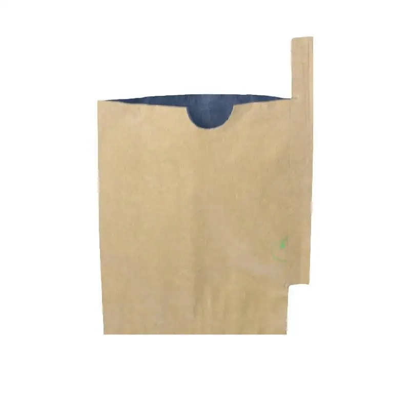 Mango Paper Protection Bag