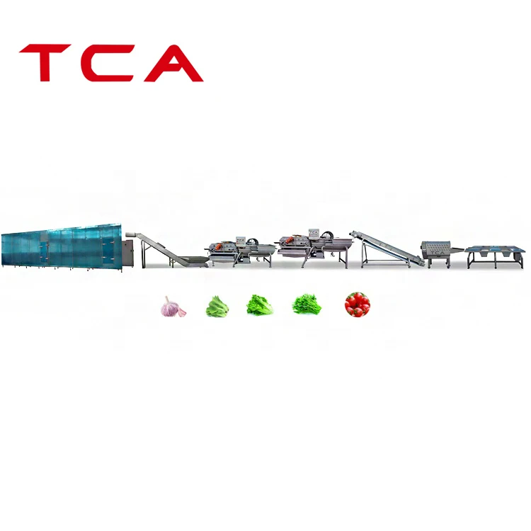 TCA Frozen Vegetable Production Line Iqf Fruits and Vegetables Line for Cucumbers Tomatoes and Snow Peas