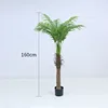 New coconut tree, 160cm