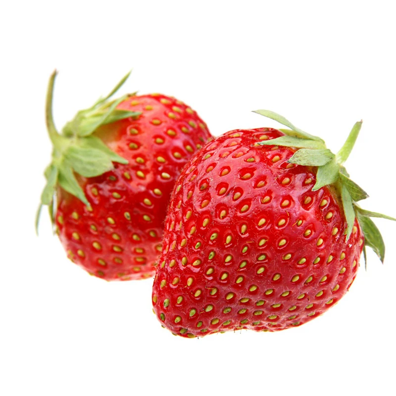 Strawberry Growing Gutter for Sale Vertical Farming
