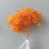 Arancione