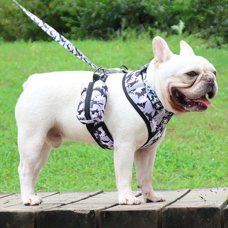 Good Quality Durable Reflective Nylon Pet Dog Collar With Harness And Leash Set factory