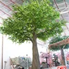 #4 Árboles VERDES