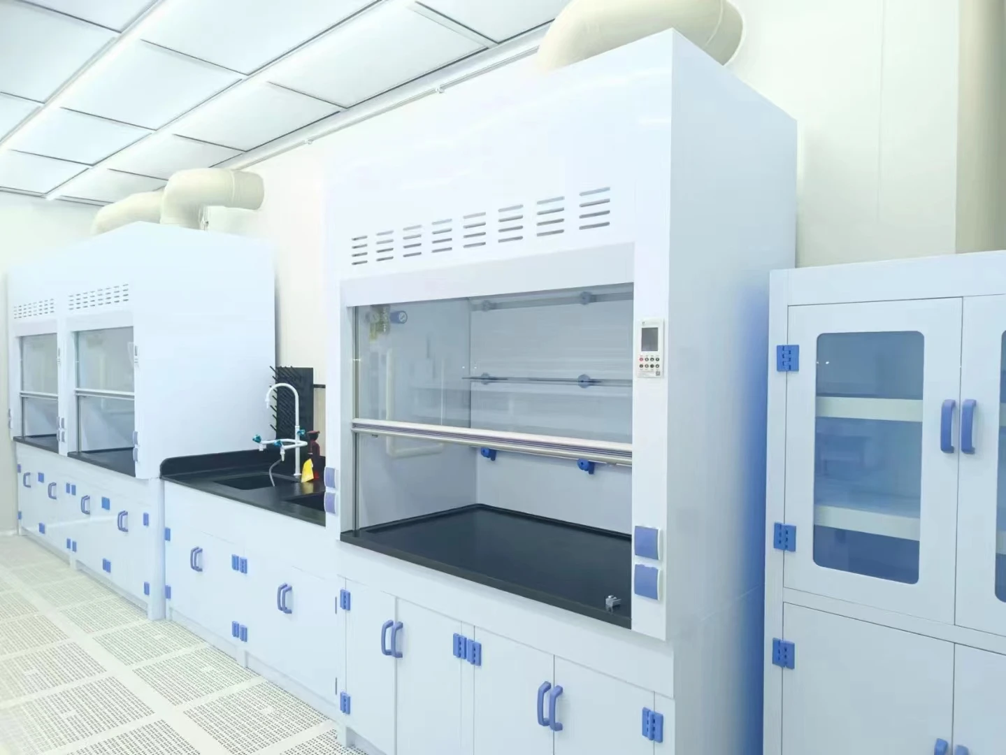 Puffer Lab Instrument Chemistry Laboratory Equipment Lab pp Fume Hood with pp Sink High ...