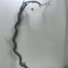 Style F