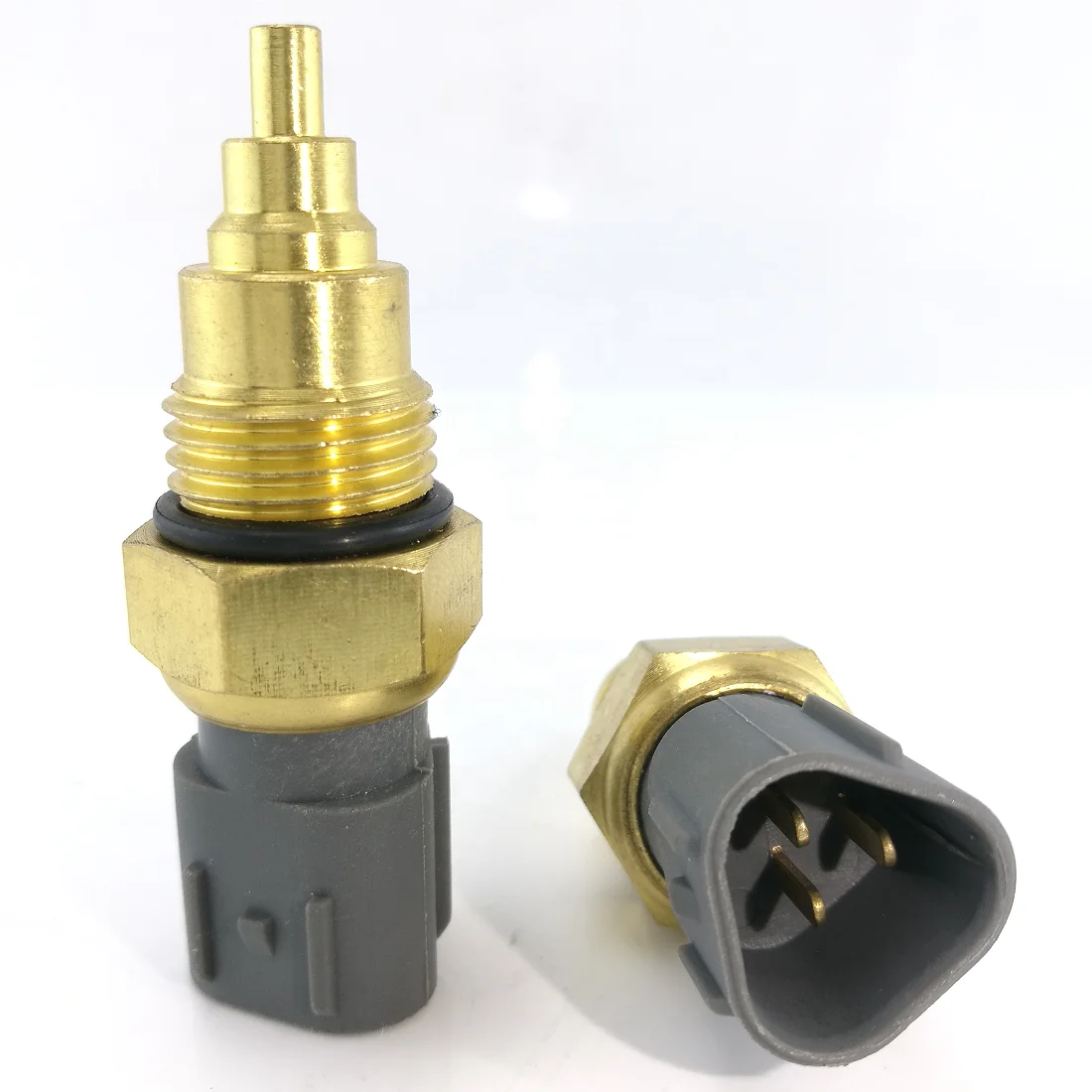 泡波10本、2015年、2016年 泡波10本、2015年、2016年 first19782012_2002654