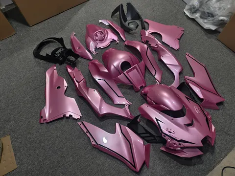 Motorcycle Fairing for Kawasaki Ninja ZX-10R 2020 2021 2022 2023 Injection ABS Plastic  Motorcycle  Fairing Kit