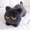 Gray Cat 50cm 0.3kg