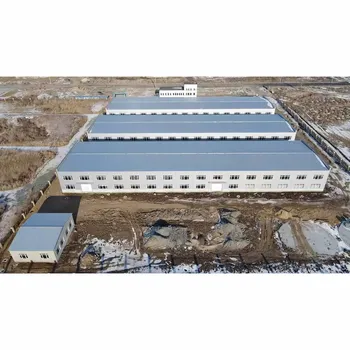 Hot Selling Insulated Prefabricated Steel Structure Metal Building Light Workshops Warehouses Clothes Hangers Welding Processing