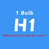 H1