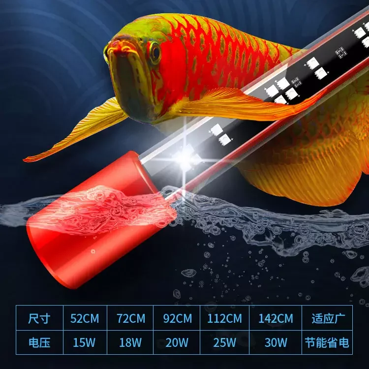 キ*ン様 Arowana Magical Light Series キ*ン様 Arowana Magical Light Series