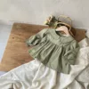 Fagiolo di cenere verde