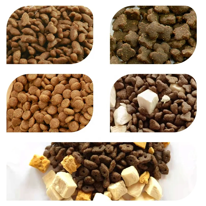 Oem Cheapest Cat Food Factory Exports 10kg High Protein Pet Food Raw Chicken Flavors Fish Shapes