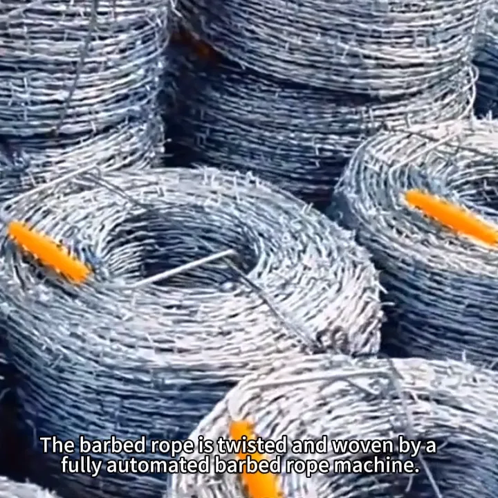 High Quality Barb Wire Price Per Roll / Galvanized Barbed Wire Farm