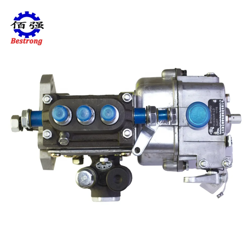 Bh31g75r80 Fuel Injection Pump Assembly for Laidong LD KM385bt 390Bt 4L22bt 4L23bt Diesel Engine Df-244 Tractor Spare Parts