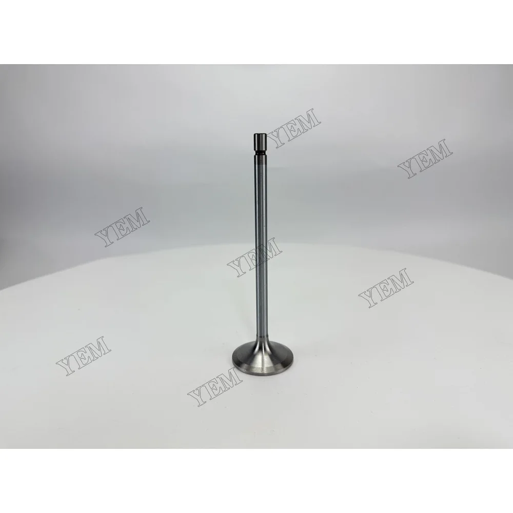 3978768 Intake Valve for Volvo TAD741GE Wholesale Engine Parts 4
