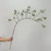 147cm - Grandes ramas verdes