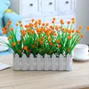 30 Baby's Breath Milan Flower Orange