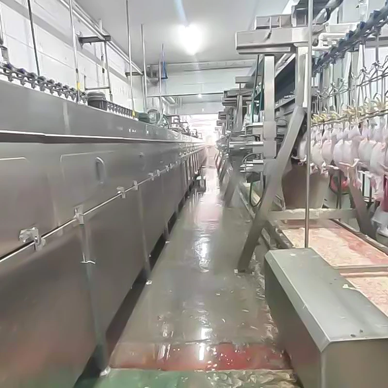 TCA High Quality Automatic Quail Poultry Chicken Slaughtering and Cutting Machine Line Equipment