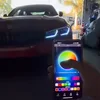 RGB DRL