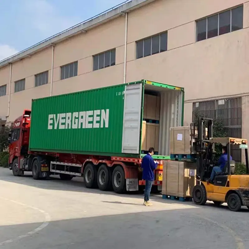 Blue Nonwoven Disposable Hair Net Cover factory