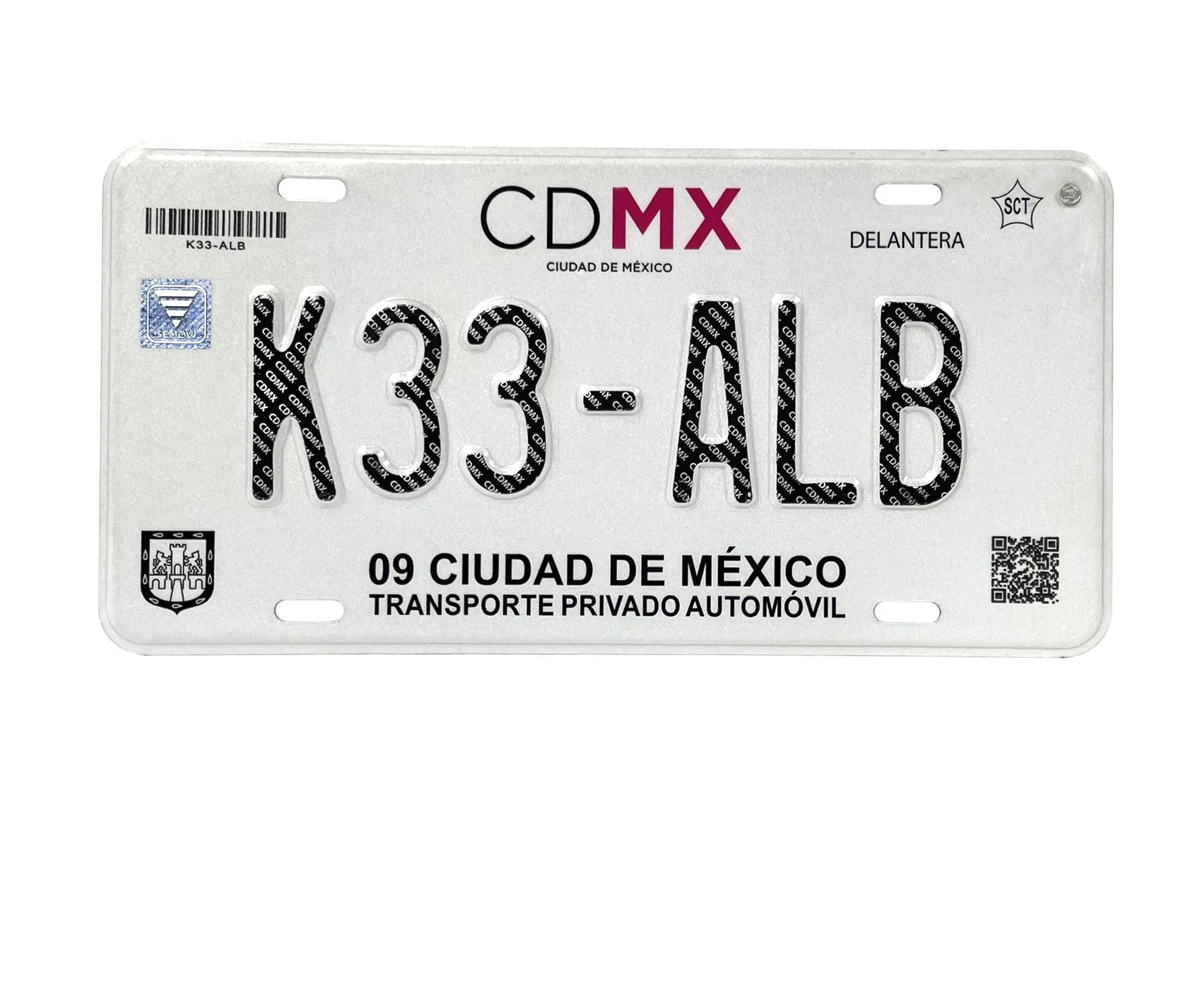 メキシコの車のナンバープレート、アメリカサイズ、政府入札用車の