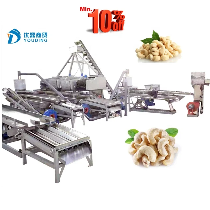 Complete Cashew Processing Factory Automatic Cashew Nut Sorting Machine
