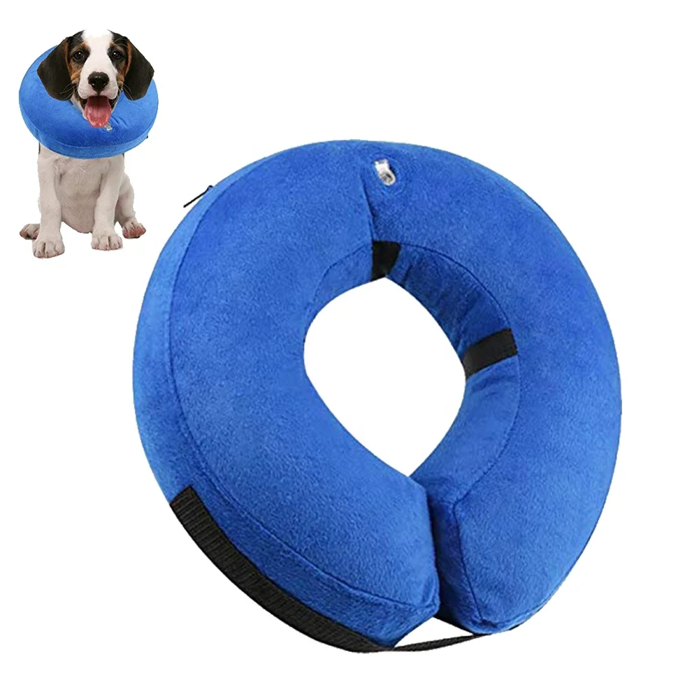 inflatable e collar for cats