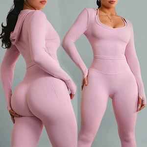 OEM Women Sport Outfit New Design Activewear Tights Sweatpants and Long Sleeve Top 2pcs Gym Fitness Yoga Set for Ladies