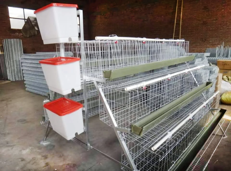 A Shape Wire Mesh Battery 10000 Layer Chickens Farm Bird Cage for Sale
