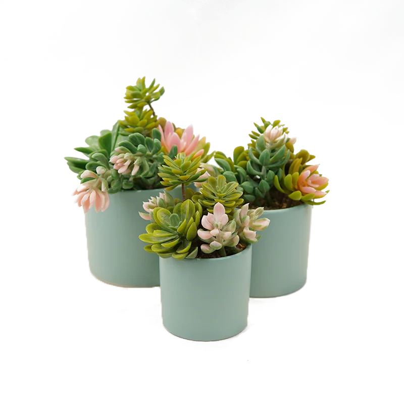 Mini Real Touch Artificial Succulent Plants Green Potted Flower