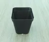 Carré noir