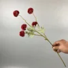 Rojo oscuro