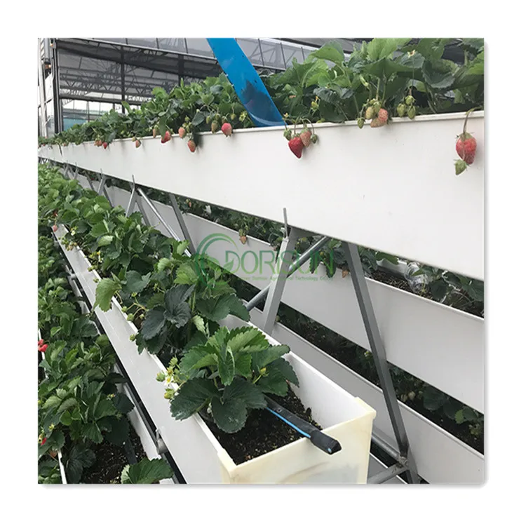 CLISPEED 6x Hydroponische Pflanzkörbe - Netztöpfe Für Hydrokultur & Erde