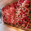 feixia promenade-red-pink immersive corridor-floral walls