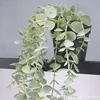 Eucalyptus Leaf [Price per piece]