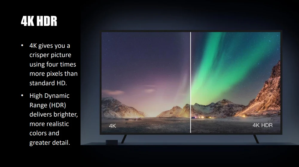 Q5 PLUS D2