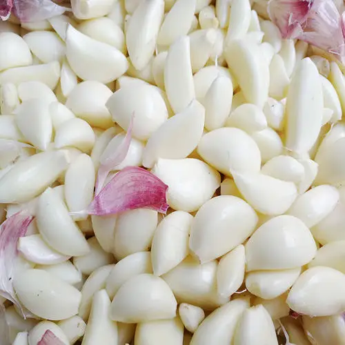 Зубчики чеснока высокого качества оптом Замороженные Свежие производители чеснока