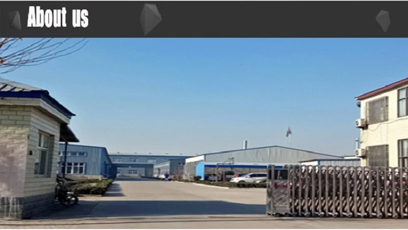 Tianjin Keyo Bicycle Co., Ltd. 1