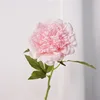 rosa chiaro