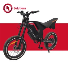 Raider-UL088M full-size electric dirt bike  750W 52V20AH  UL2849 Certification electric Motorbikes City bikes