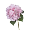 Pink 5