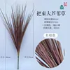 Bundle of large reddish-brown reeds