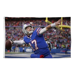 Buffalo Bills Football Team AFC Champions Flag 90x150cm 3x5ft Fan