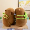 Porter un capybara tortue